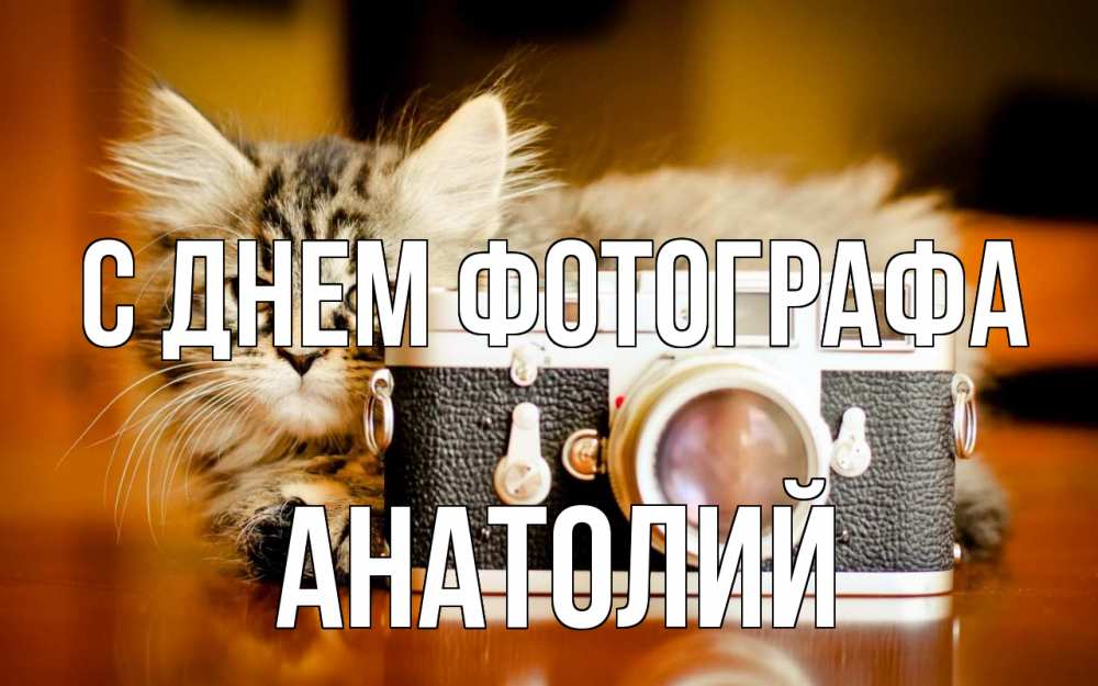 Открытка на каждый день с именем, Анатолий С днем фотографа с днем фотографа Прикольная открытка с пожеланием онлайн скачать бесплатно 