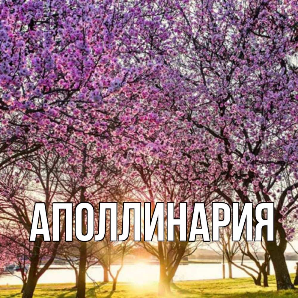 Открытка на каждый день с именем, Аполлинария Главная наурыз Прикольная открытка с пожеланием онлайн скачать бесплатно 