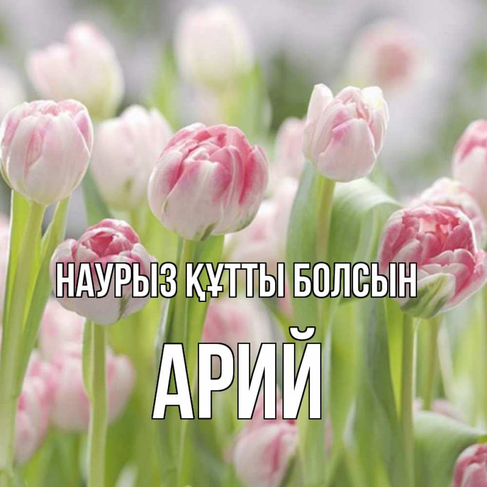 Открытка на каждый день с именем, Арий Наурыз құтты болсын цветы Прикольная открытка с пожеланием онлайн скачать бесплатно 