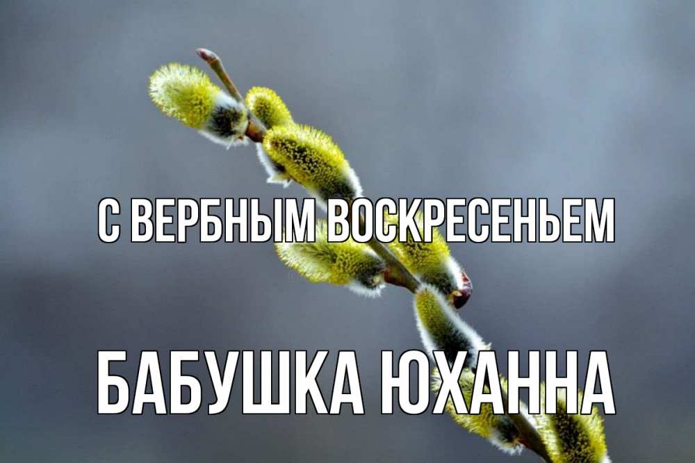 Открытка на каждый день с именем, Бабушка-Юханна С вербным воскресеньем верба Прикольная открытка с пожеланием онлайн скачать бесплатно 