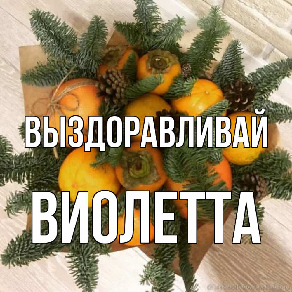 Открытка на каждый день с именем, Виолетта Выздоравливай апельсины и хурьма Прикольная открытка с пожеланием онлайн скачать бесплатно 