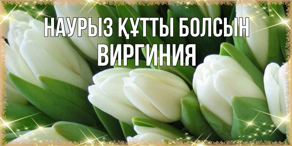 Открытка на каждый день с именем, Виргиния Наурыз құтты болсын поздравляем с наурызом Прикольная открытка с пожеланием онлайн скачать бесплатно 