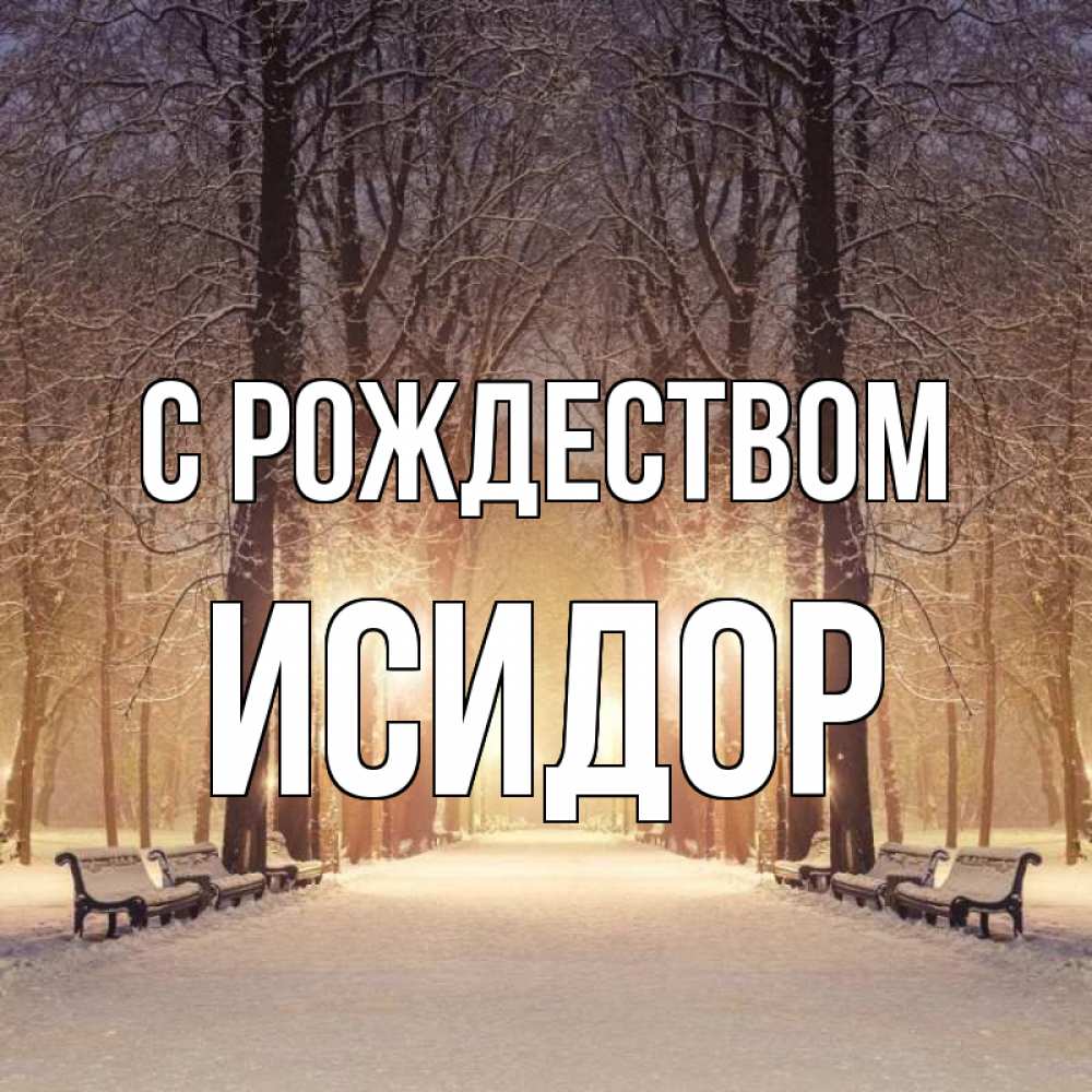 Открытка на каждый день с именем, Исидор С рождеством зима, парк, фонарь, лес Прикольная открытка с пожеланием онлайн скачать бесплатно 