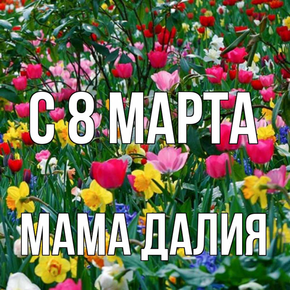Открытка на каждый день с именем, Мама-Далия С 8 МАРТА с международным женским днем поздравления для женщины Прикольная открытка с пожеланием онлайн скачать бесплатно 