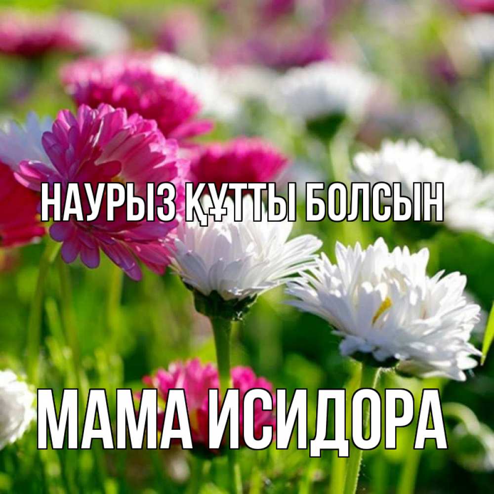 Открытка на каждый день с именем, Мама-Исидора Наурыз құтты болсын наурыз Прикольная открытка с пожеланием онлайн скачать бесплатно 