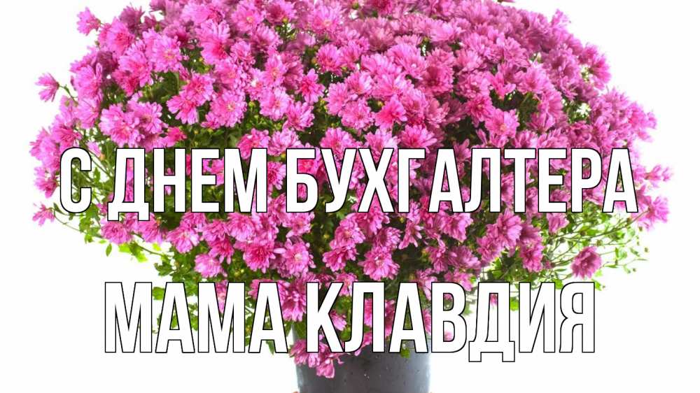 Открытка на каждый день с именем, Мама-Клавдия С днем бухгалтера с днем бухгалтера Прикольная открытка с пожеланием онлайн скачать бесплатно 