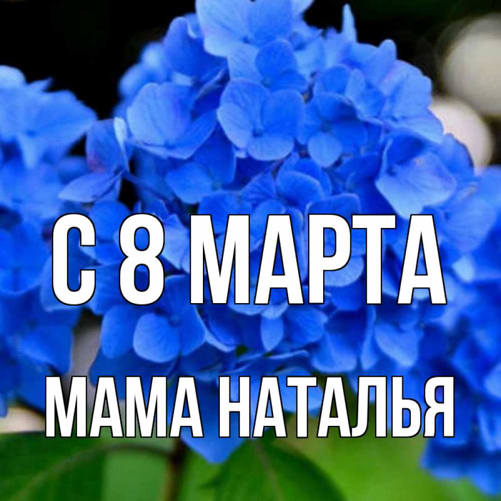 Открытка на каждый день с именем, Мама-Наталья С 8 МАРТА синие цветы Прикольная открытка с пожеланием онлайн скачать бесплатно 