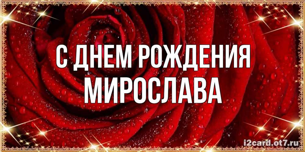 Открытка на каждый день с именем, Мирослава С днем рождения роса на розе блестящая в лучах солнца Прикольная открытка с пожеланием онлайн скачать бесплатно 
