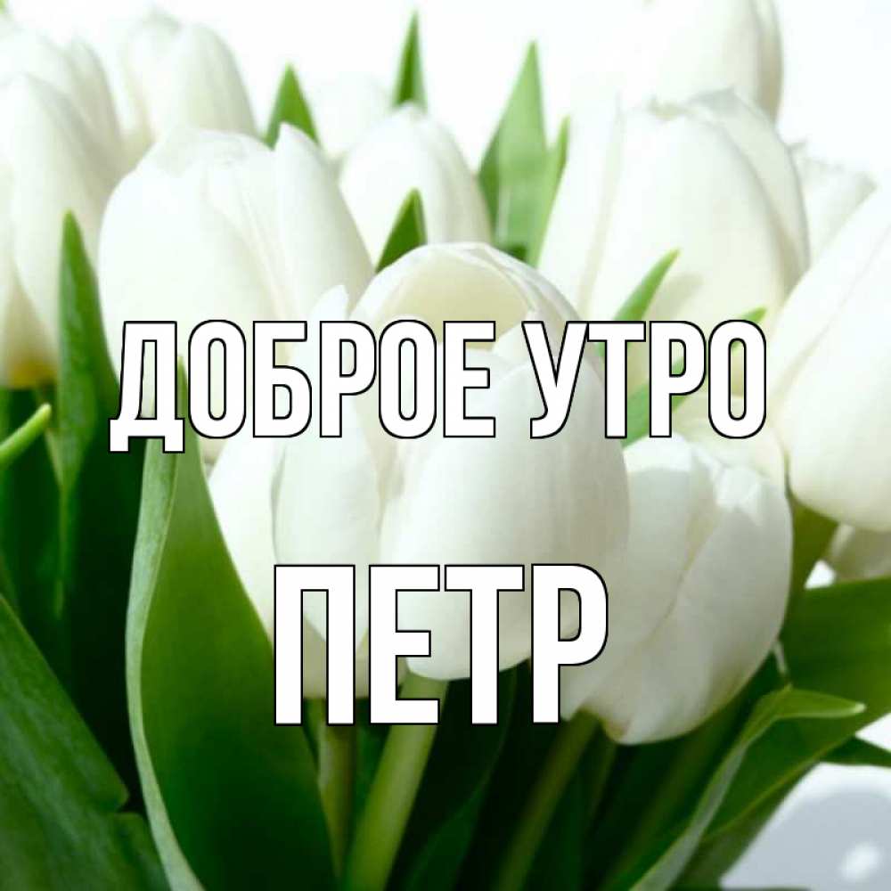 Открытка на каждый день с именем, Петр Доброе утро открытки на каждый день по именам Прикольная открытка с пожеланием онлайн скачать бесплатно 