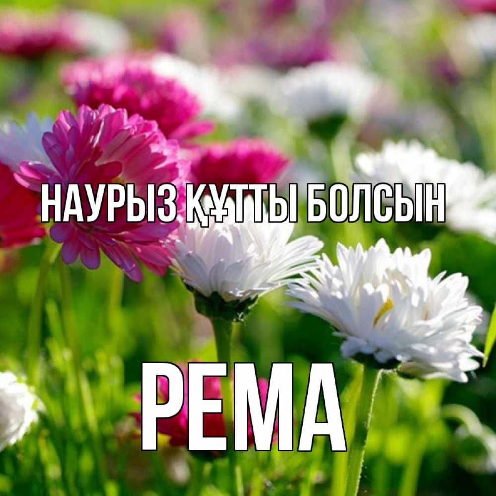 Открытка на каждый день с именем, Рема Наурыз құтты болсын наурыз Прикольная открытка с пожеланием онлайн скачать бесплатно 