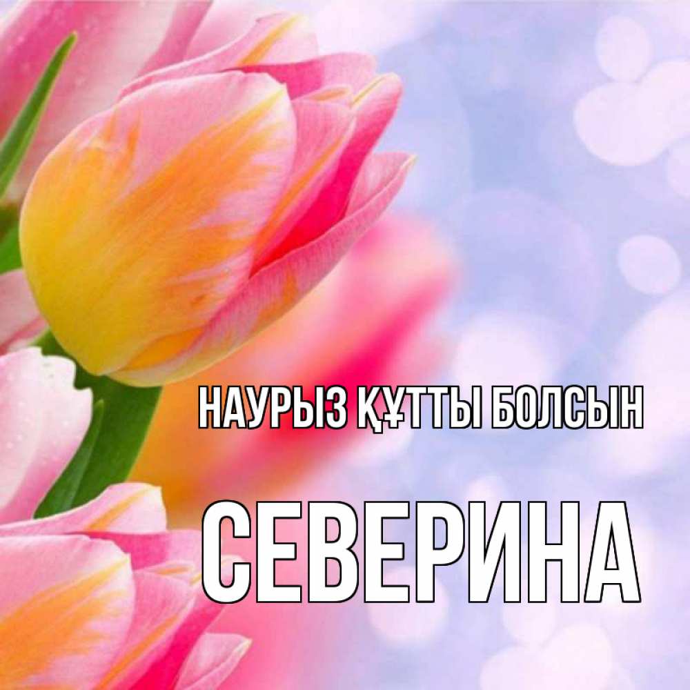 Открытка на каждый день с именем, Северина Наурыз құтты болсын тюльпаны 2 Прикольная открытка с пожеланием онлайн скачать бесплатно 