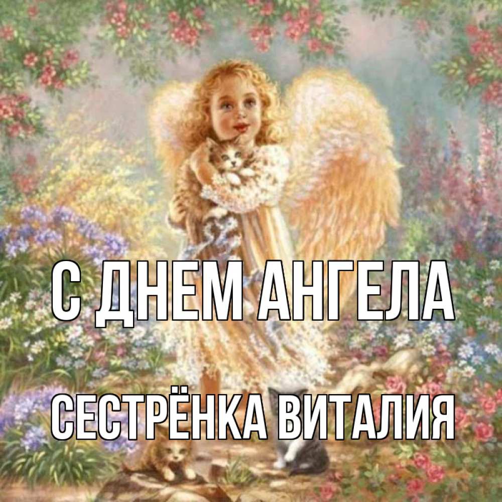 Открытка на каждый день с именем, Сестрёнка-Виталия С днем ангела держит котенка Прикольная открытка с пожеланием онлайн скачать бесплатно 