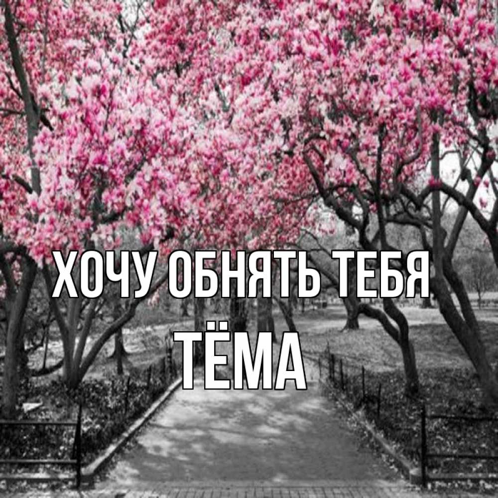 Открытка на каждый день с именем, Тёма Хочу обнять тебя обработанное фото Прикольная открытка с пожеланием онлайн скачать бесплатно 