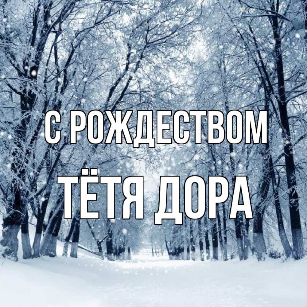 Открытка на каждый день с именем, Тётя-Дора С рождеством снег, лес, парк Прикольная открытка с пожеланием онлайн скачать бесплатно 