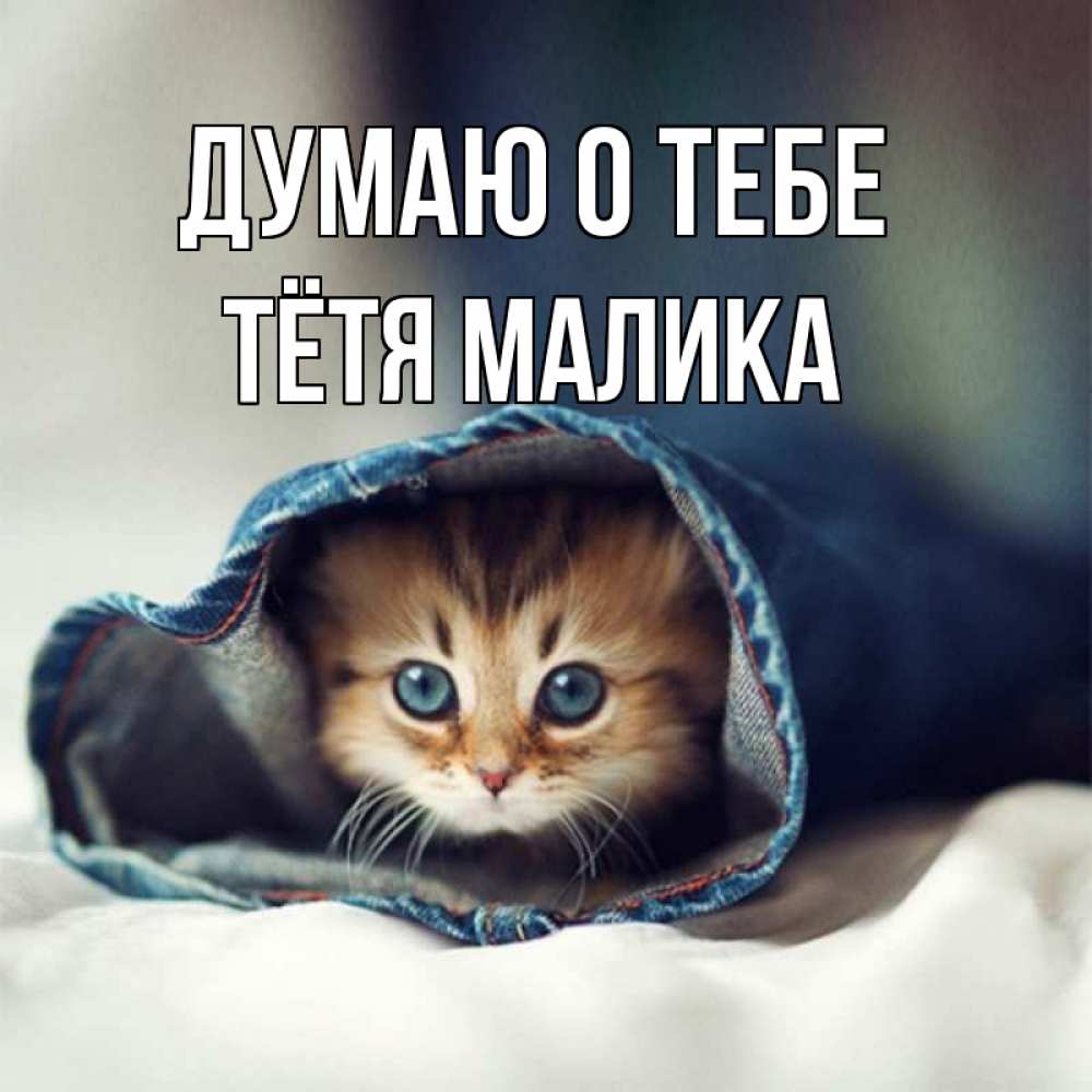 Открытка на каждый день с именем, Тётя-Малика Думаю о тебе мне без тебя плохо Прикольная открытка с пожеланием онлайн скачать бесплатно 