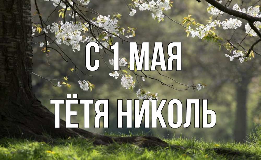 Открытка на каждый день с именем, Тётя-Николь С 1 мая С 1 мая Прикольная открытка с пожеланием онлайн скачать бесплатно 