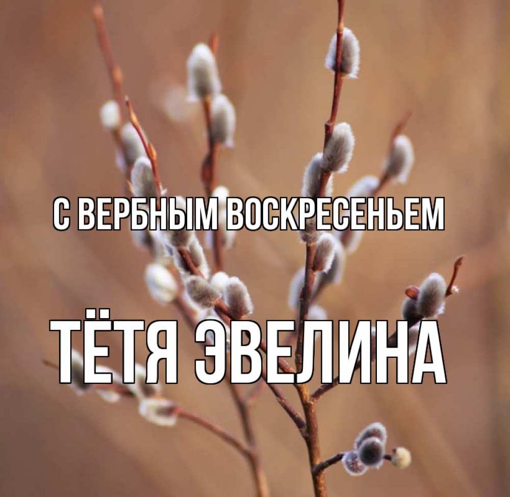 Открытка на каждый день с именем, Тётя-Эвелина С вербным воскресеньем верба Прикольная открытка с пожеланием онлайн скачать бесплатно 