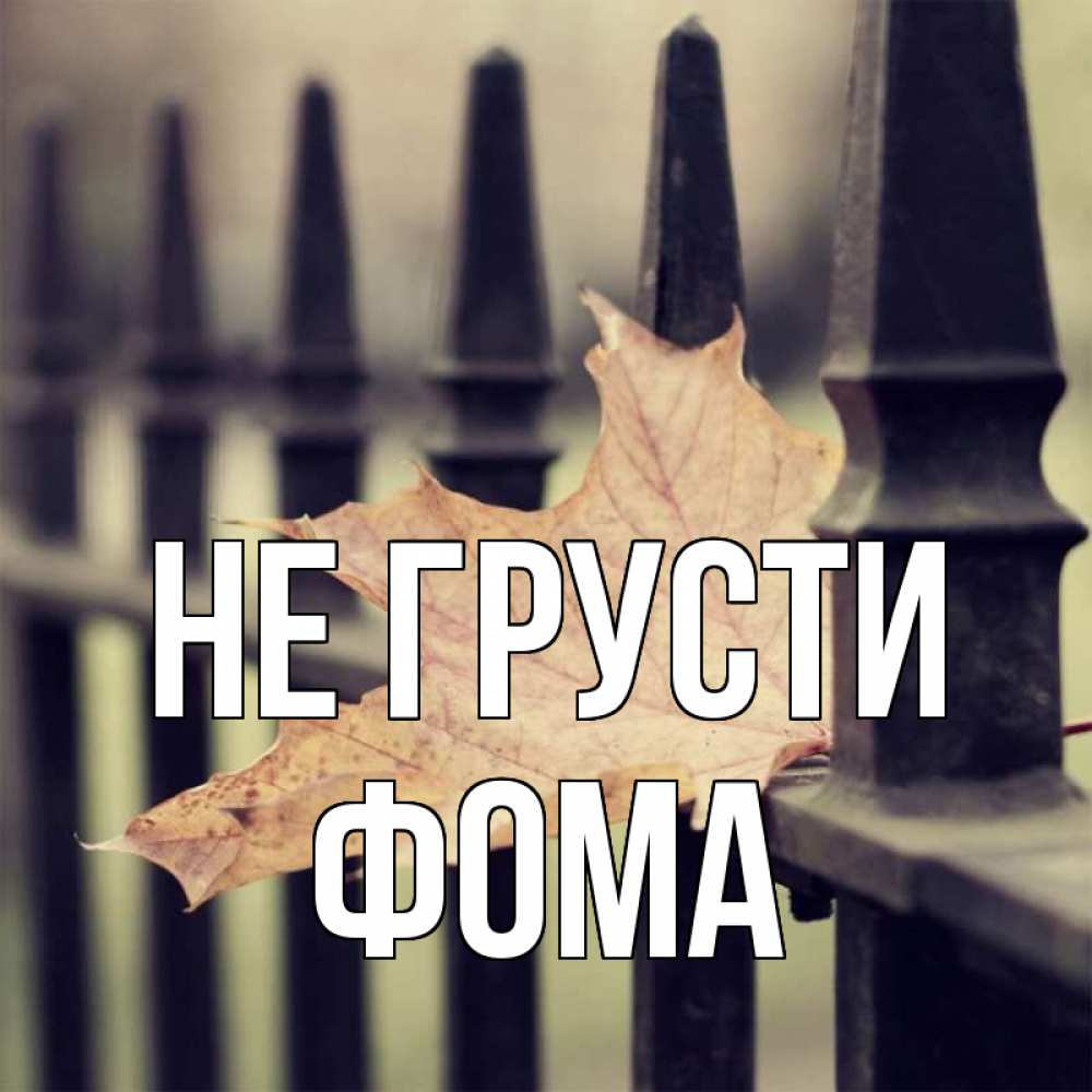 Открытка на каждый день с именем, Фома Не грусти лист клена Прикольная открытка с пожеланием онлайн скачать бесплатно 