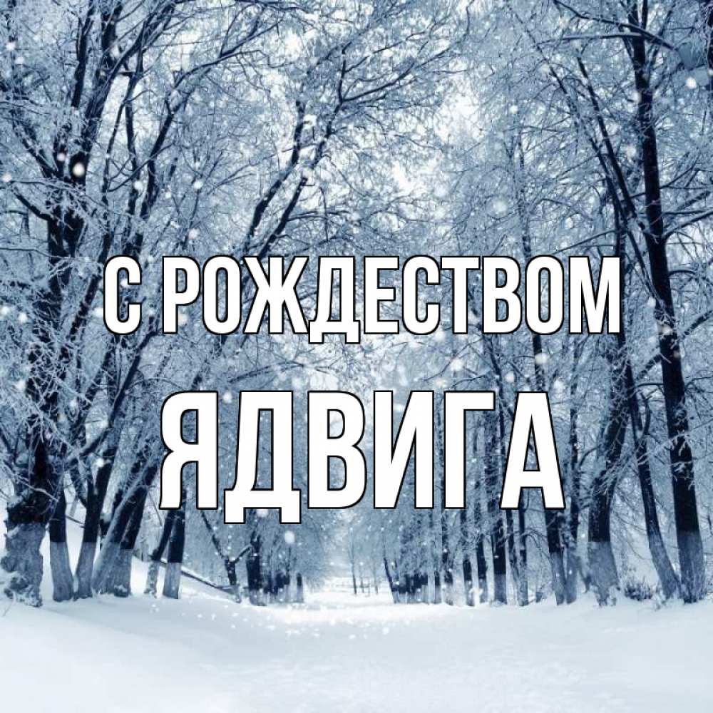 Открытка на каждый день с именем, Ядвига С рождеством снег, лес, парк Прикольная открытка с пожеланием онлайн скачать бесплатно 