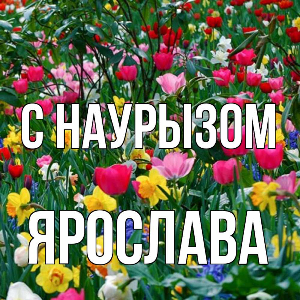 Открытка на каждый день с именем, Ярослава С наурызом с наурызом праздником весны поздравления для женщины Прикольная открытка с пожеланием онлайн скачать бесплатно 