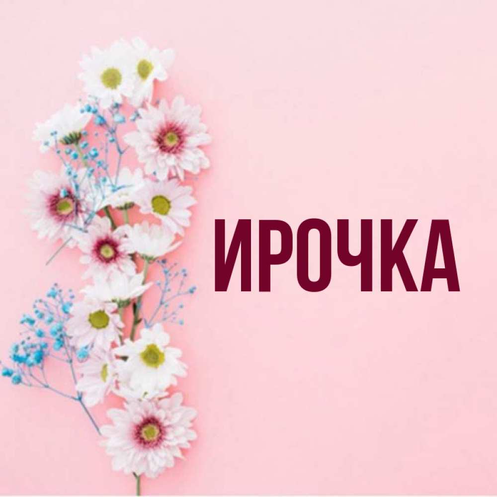 Открытка на каждый день с именем, ирочка Главная Родная моя с днем рождения тебя картинка с цветами белыми и голубыми Прикольная открытка с пожеланием онлайн скачать бесплатно 