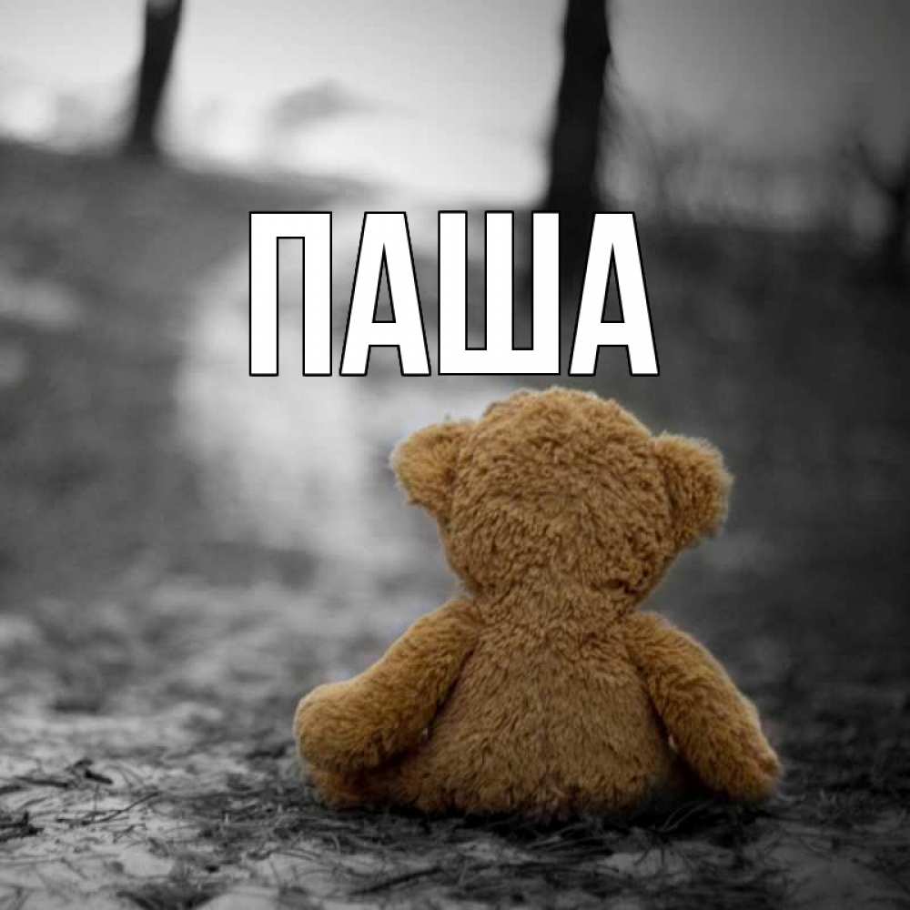 Открытка на каждый день с именем, паша Главная медведь со спин Прикольная открытка с пожеланием онлайн скачать бесплатно 