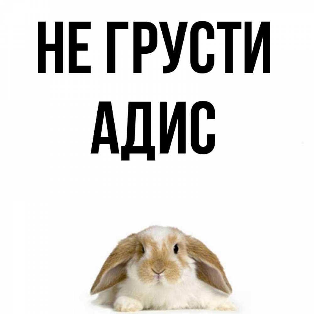 Открытка на каждый день с именем, Адис Не грусти коричнево белый заяц с большими ушками Прикольная открытка с пожеланием онлайн скачать бесплатно 