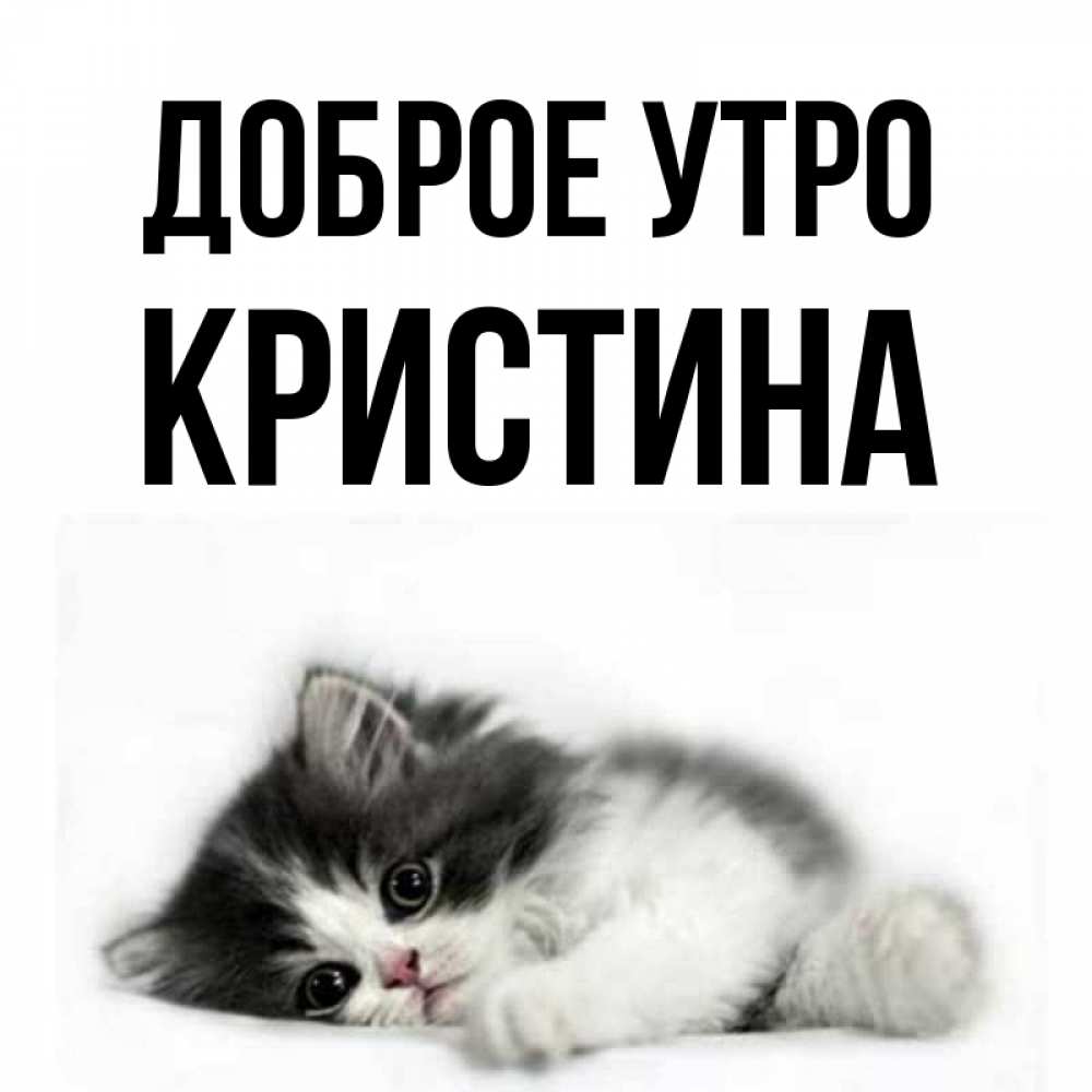 Открытка на каждый день с именем, КРИСТИНА Доброе утро кот лапки Прикольная открытка с пожеланием онлайн скачать бесплатно 