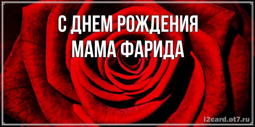 Открытка на каждый день с именем, Мама-Фарида С днем рождения алая роза Прикольная открытка с пожеланием онлайн скачать бесплатно 