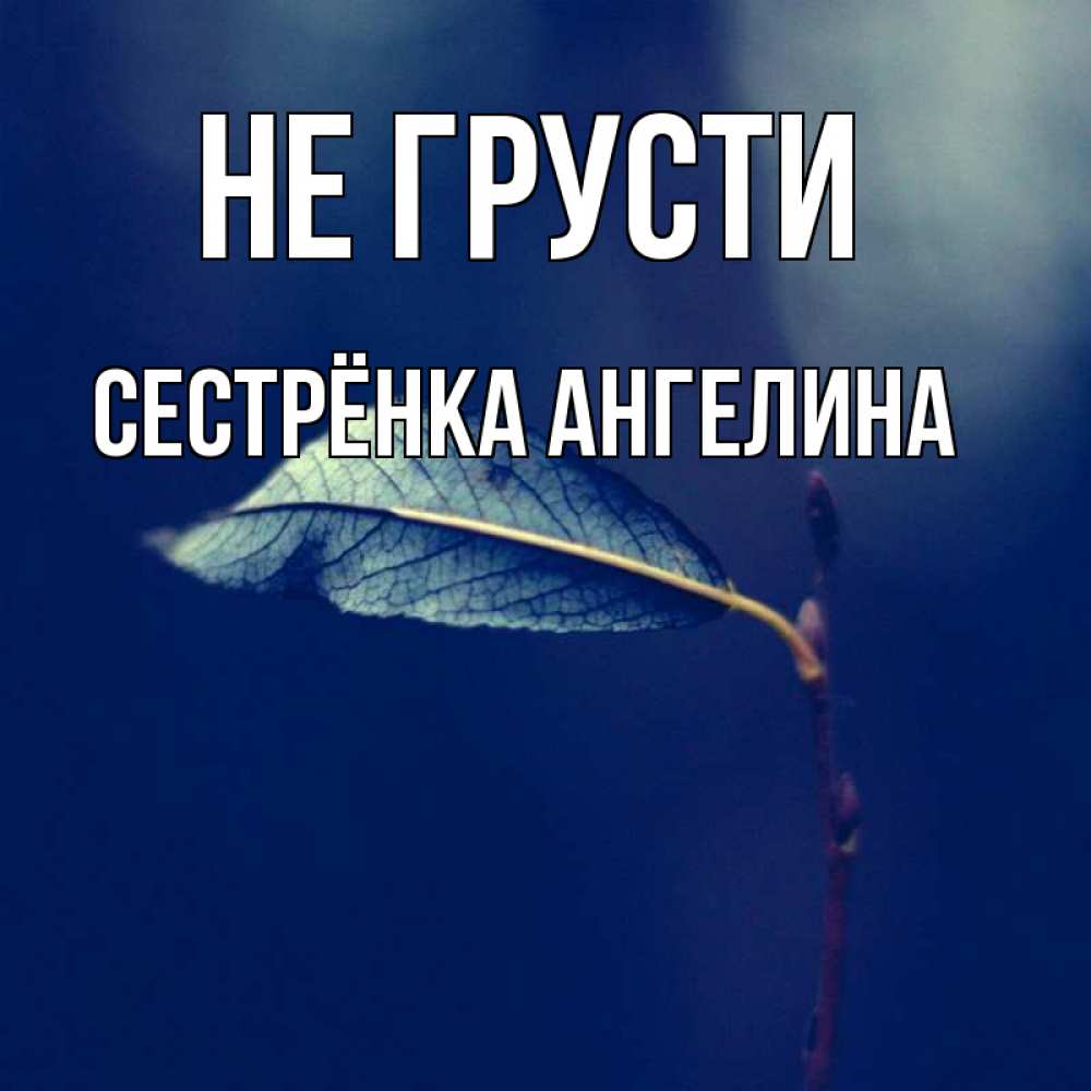 Открытка на каждый день с именем, Сестрёнка-Ангелина Не грусти растение Прикольная открытка с пожеланием онлайн скачать бесплатно 