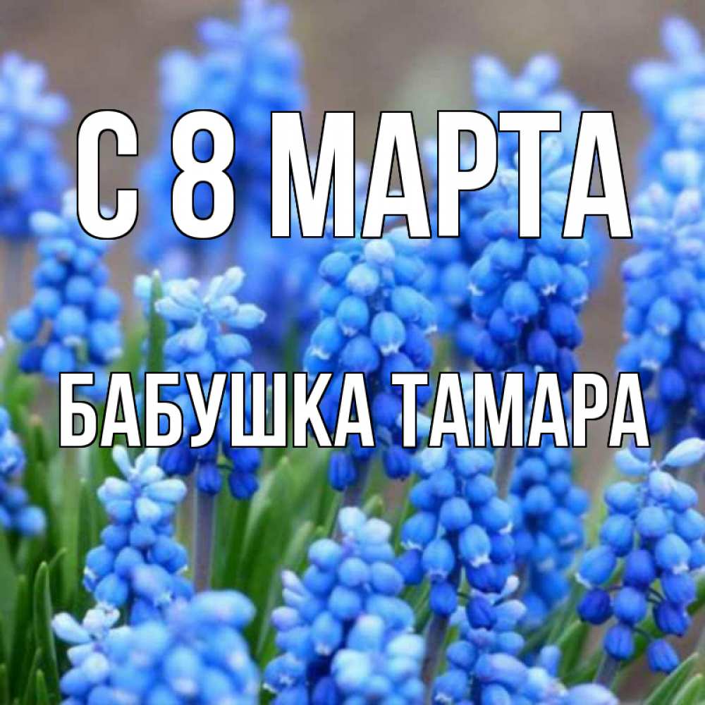 Открытка на каждый день с именем, Бабушка-Тамара С 8 МАРТА Поздравительная открытка для женщин с цветами на праздничную дату Прикольная открытка с пожеланием онлайн скачать бесплатно 