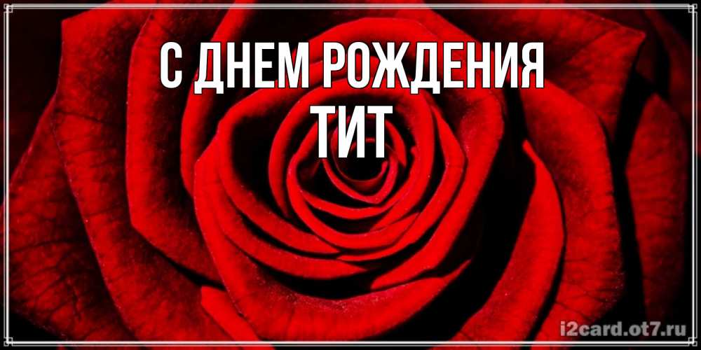 Открытка на каждый день с именем, Тит С днем рождения алая роза Прикольная открытка с пожеланием онлайн скачать бесплатно 