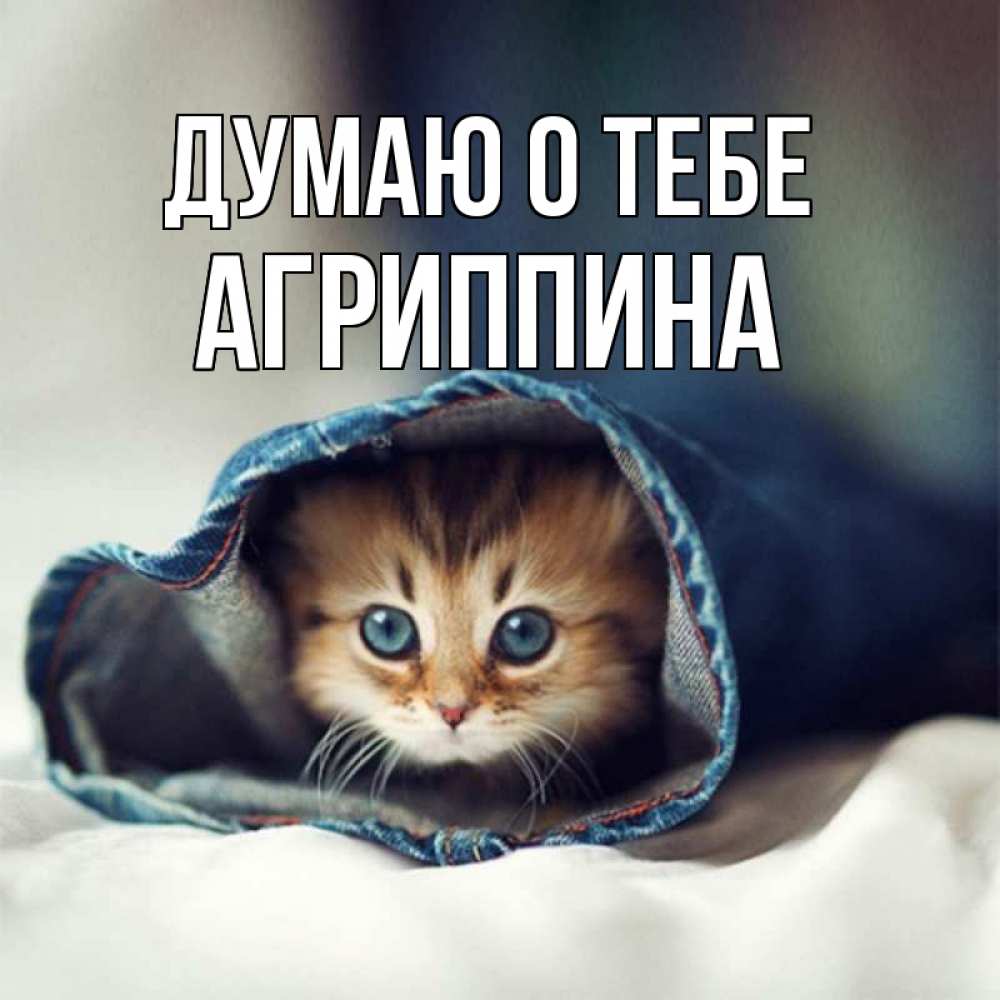 Открытка на каждый день с именем, Агриппина Думаю о тебе мне без тебя плохо Прикольная открытка с пожеланием онлайн скачать бесплатно 