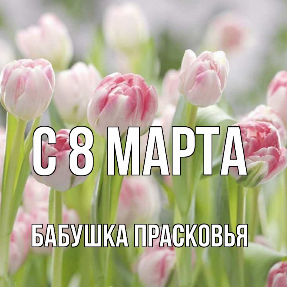 Открытка на каждый день с именем, Бабушка-Прасковья С 8 марта цветы Прикольная открытка с пожеланием онлайн скачать бесплатно 