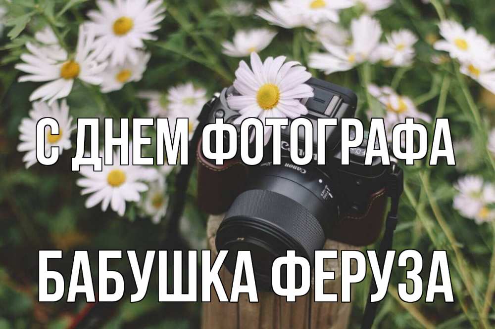 Открытка на каждый день с именем, Бабушка-Феруза С днем фотографа с днем фотографа Прикольная открытка с пожеланием онлайн скачать бесплатно 
