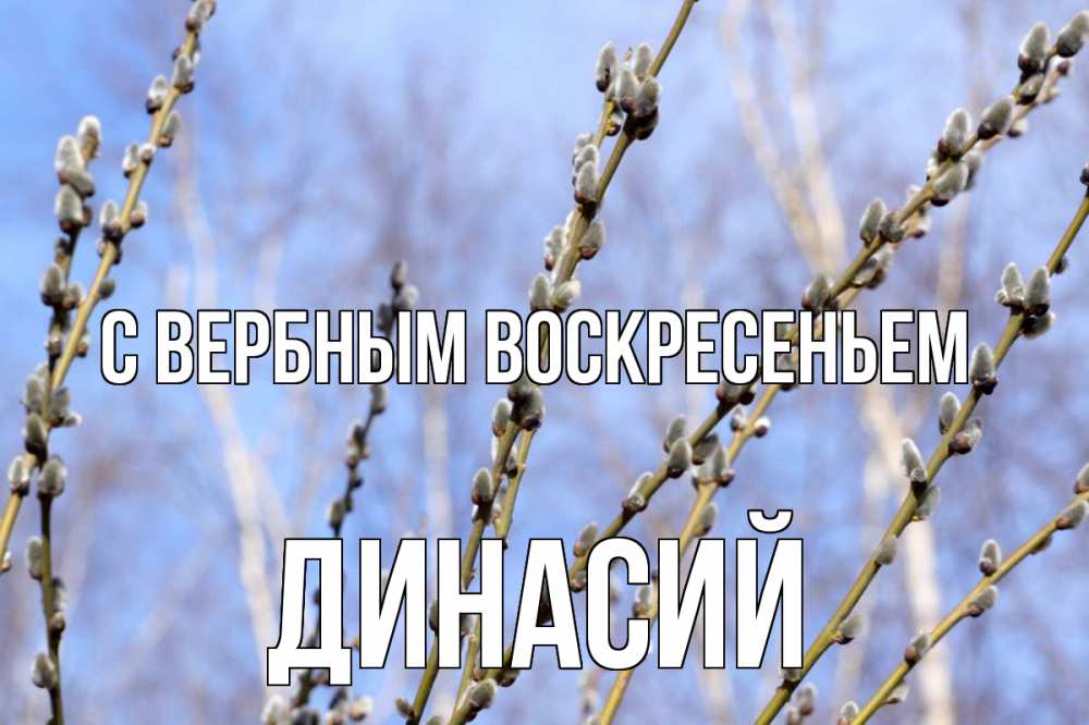 Открытка на каждый день с именем, Динасий С вербным воскресеньем верба Прикольная открытка с пожеланием онлайн скачать бесплатно 