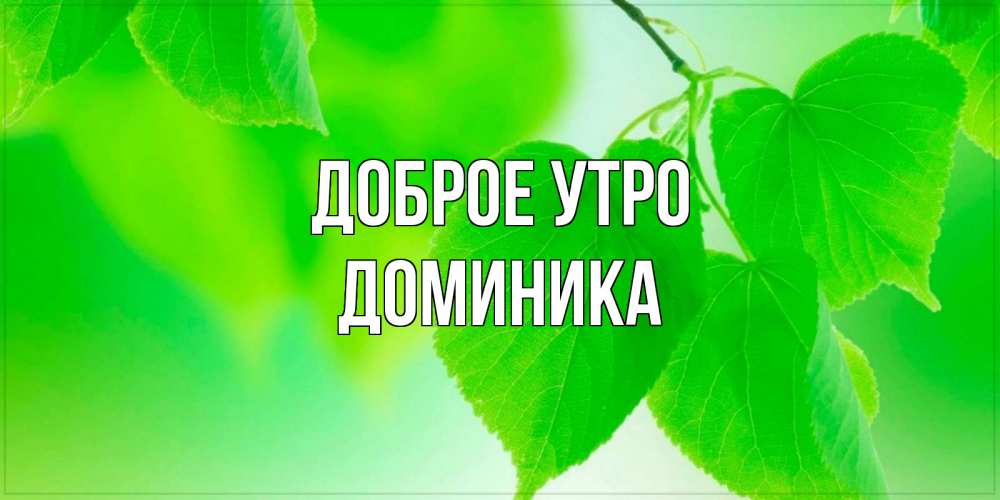 Открытка на каждый день с именем, Доминика Доброе утро доброе утро с березовыми листьями Прикольная открытка с пожеланием онлайн скачать бесплатно 