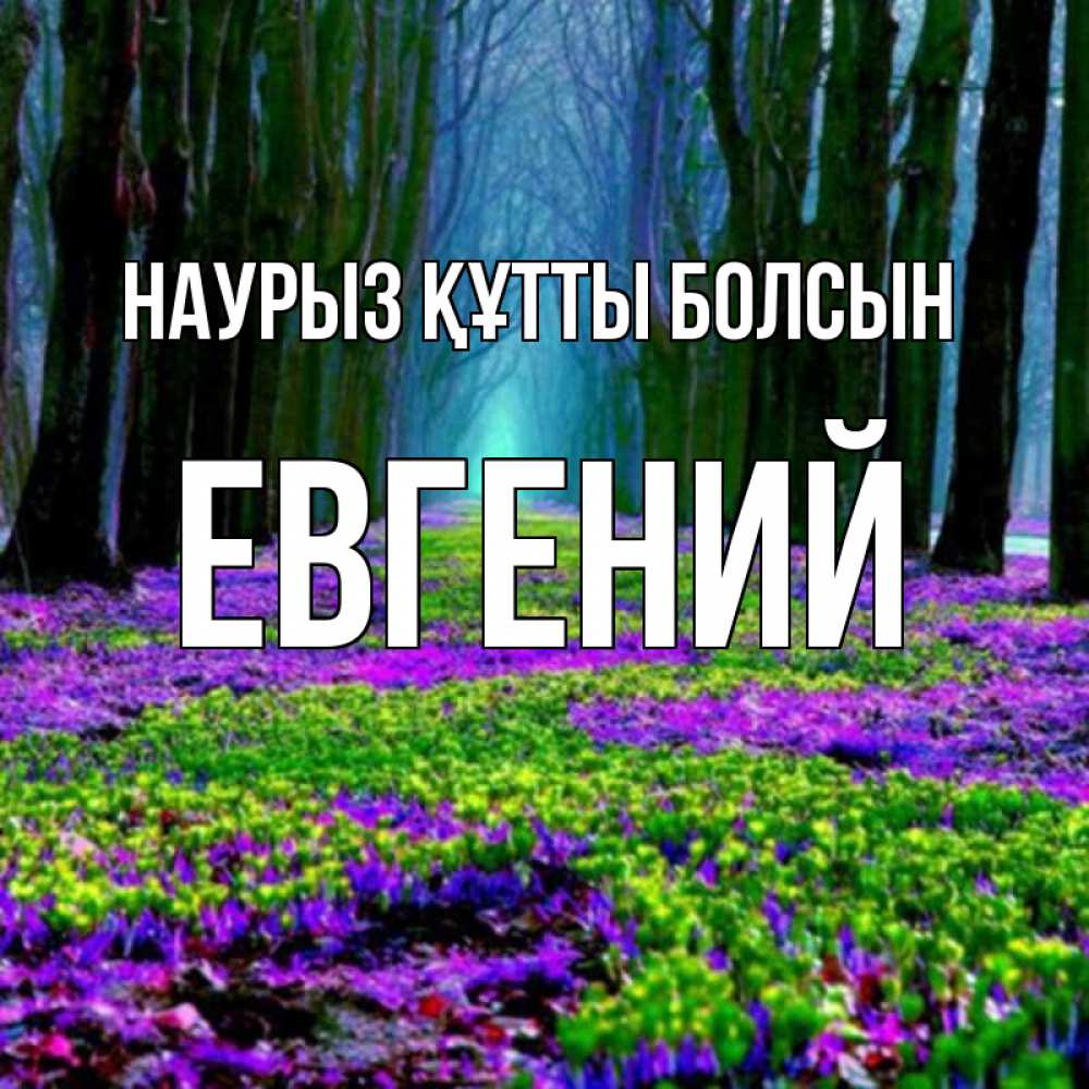 Открытка на каждый день с именем, Евгений Наурыз құтты болсын фиолетовые цветы в лесу 1 Прикольная открытка с пожеланием онлайн скачать бесплатно 