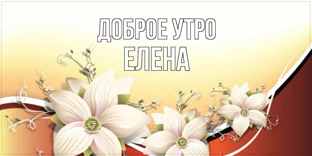 Открытка на каждый день с именем, Елена Доброе утро пожелания доброго утра Прикольная открытка с пожеланием онлайн скачать бесплатно 