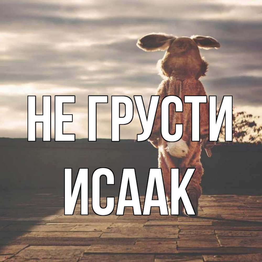Открытка на каждый день с именем, Исаак Не грусти со спины Прикольная открытка с пожеланием онлайн скачать бесплатно 