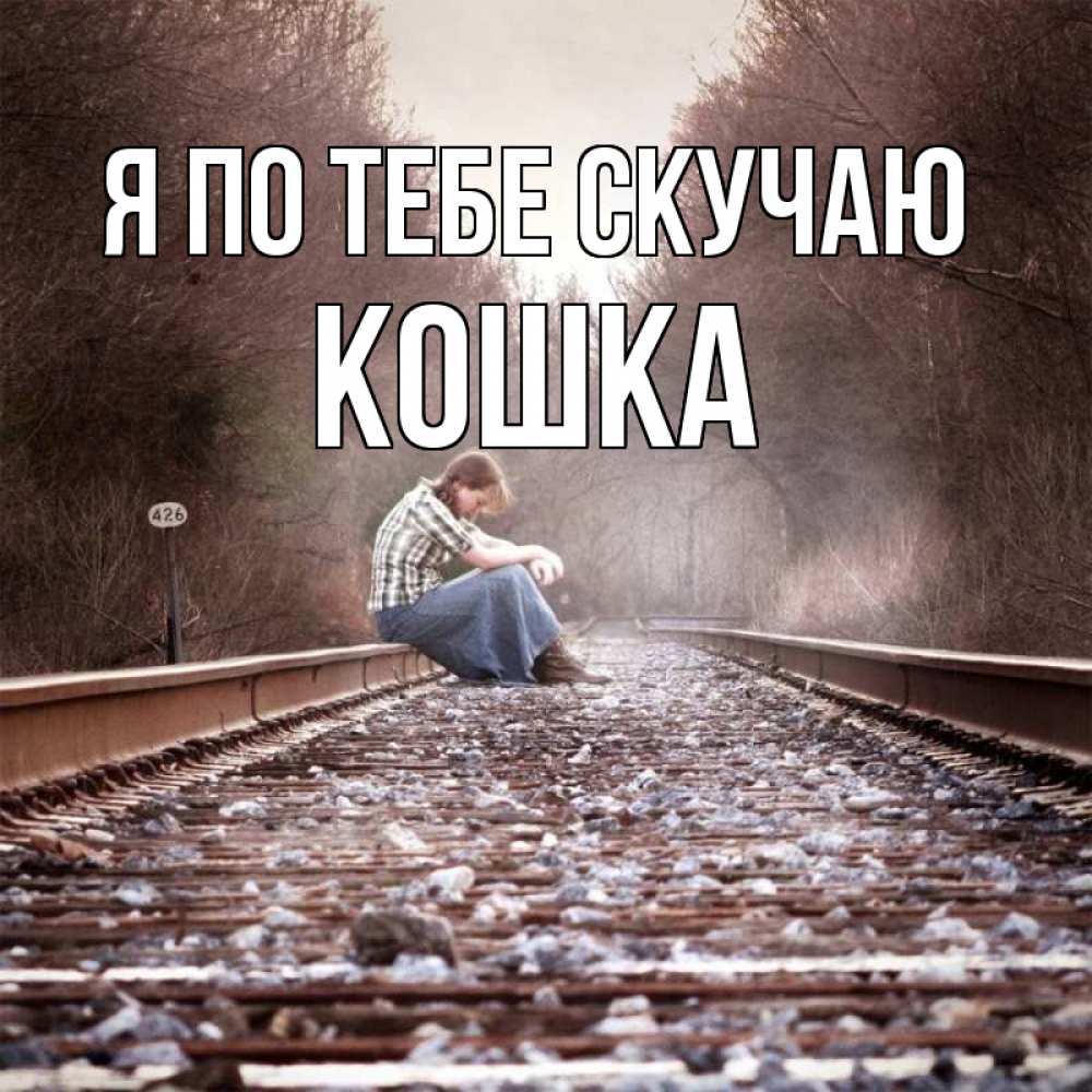 Открытка на каждый день с именем, Кошка Я по тебе скучаю скучаю Прикольная открытка с пожеланием онлайн скачать бесплатно 
