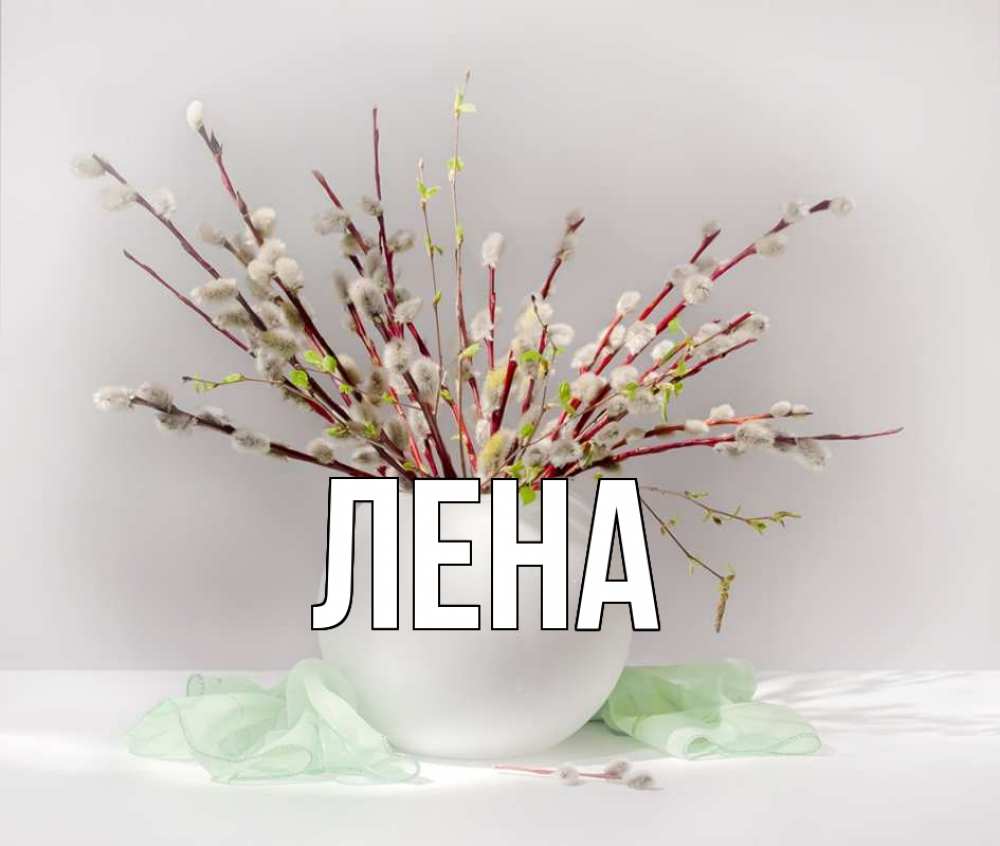 Открытка на каждый день с именем, Лена Главная верба Прикольная открытка с пожеланием онлайн скачать бесплатно 
