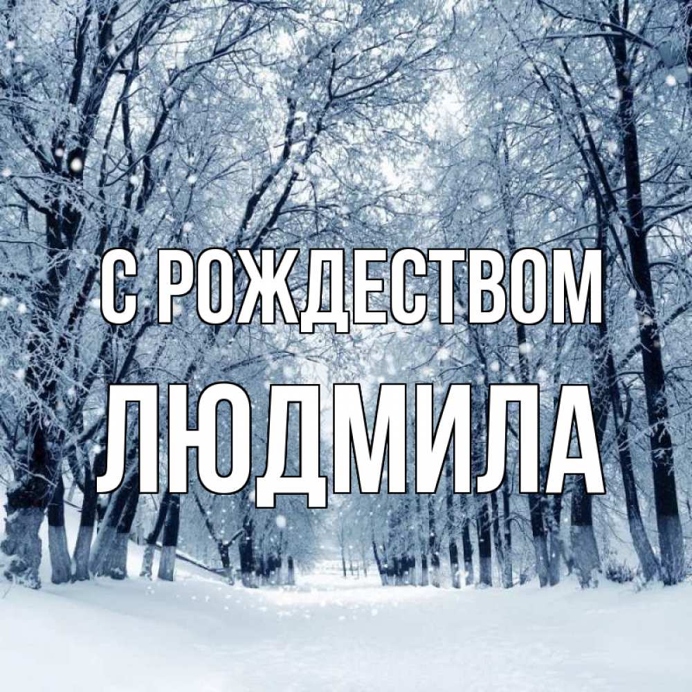 Открытка на каждый день с именем, Людмила С рождеством снег, лес, парк Прикольная открытка с пожеланием онлайн скачать бесплатно 