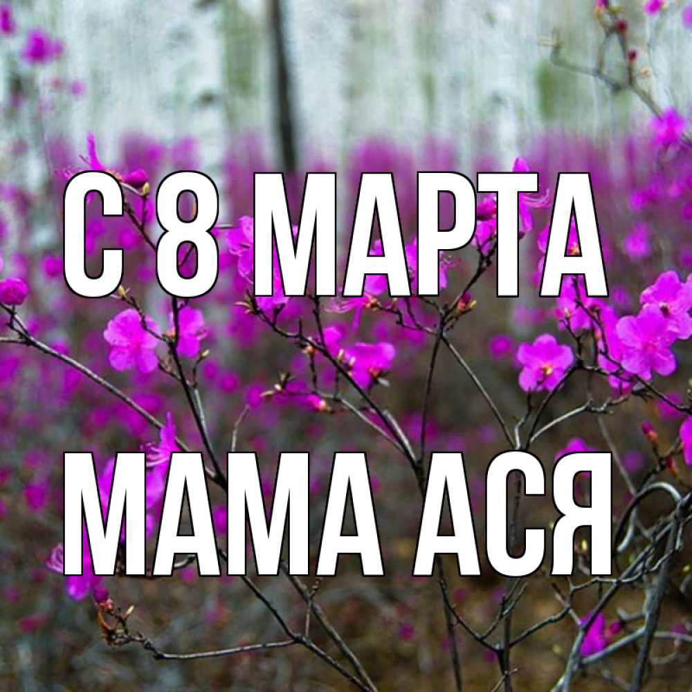 Открытка на каждый день с именем, Мама-Ася С 8 МАРТА дикие цветы Прикольная открытка с пожеланием онлайн скачать бесплатно 