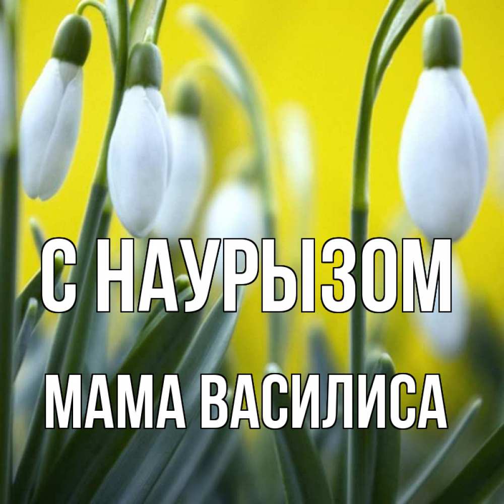 Открытка на каждый день с именем, Мама-Василиса С наурызом весенние цветы Прикольная открытка с пожеланием онлайн скачать бесплатно 