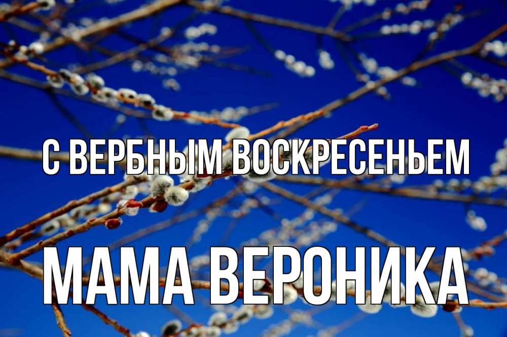 Открытка на каждый день с именем, Мама-Вероника С вербным воскресеньем верба Прикольная открытка с пожеланием онлайн скачать бесплатно 