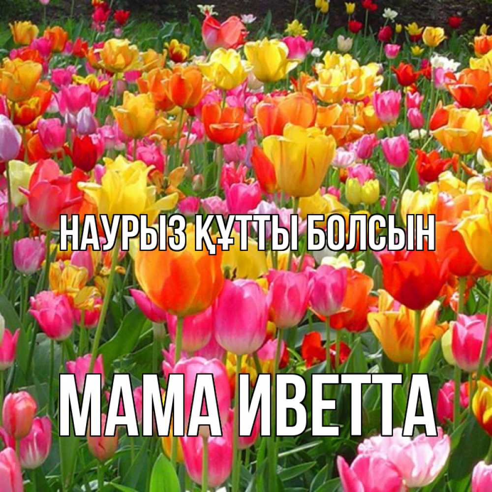 Открытка на каждый день с именем, Мама-Иветта Наурыз құтты болсын на наурыз  ура ура Прикольная открытка с пожеланием онлайн скачать бесплатно 