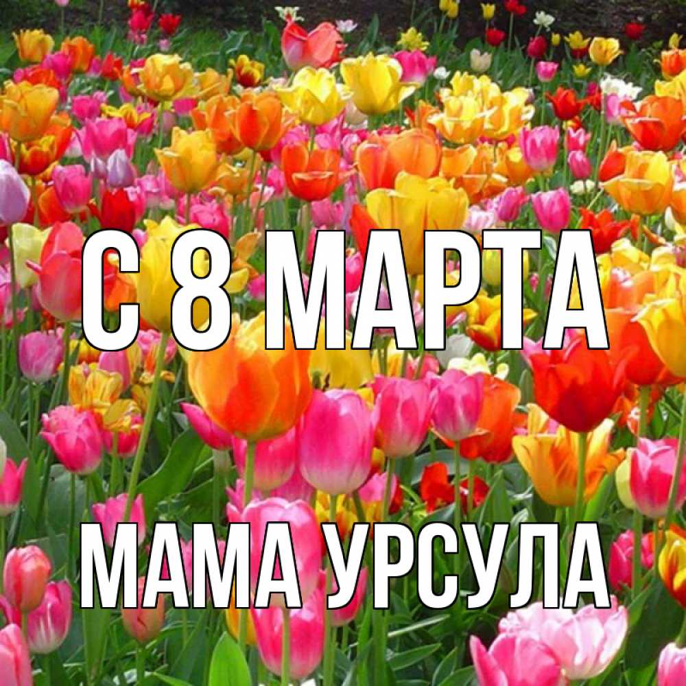Открытка на каждый день с именем, Мама-Урсула С 8 марта на международный женский день Прикольная открытка с пожеланием онлайн скачать бесплатно 