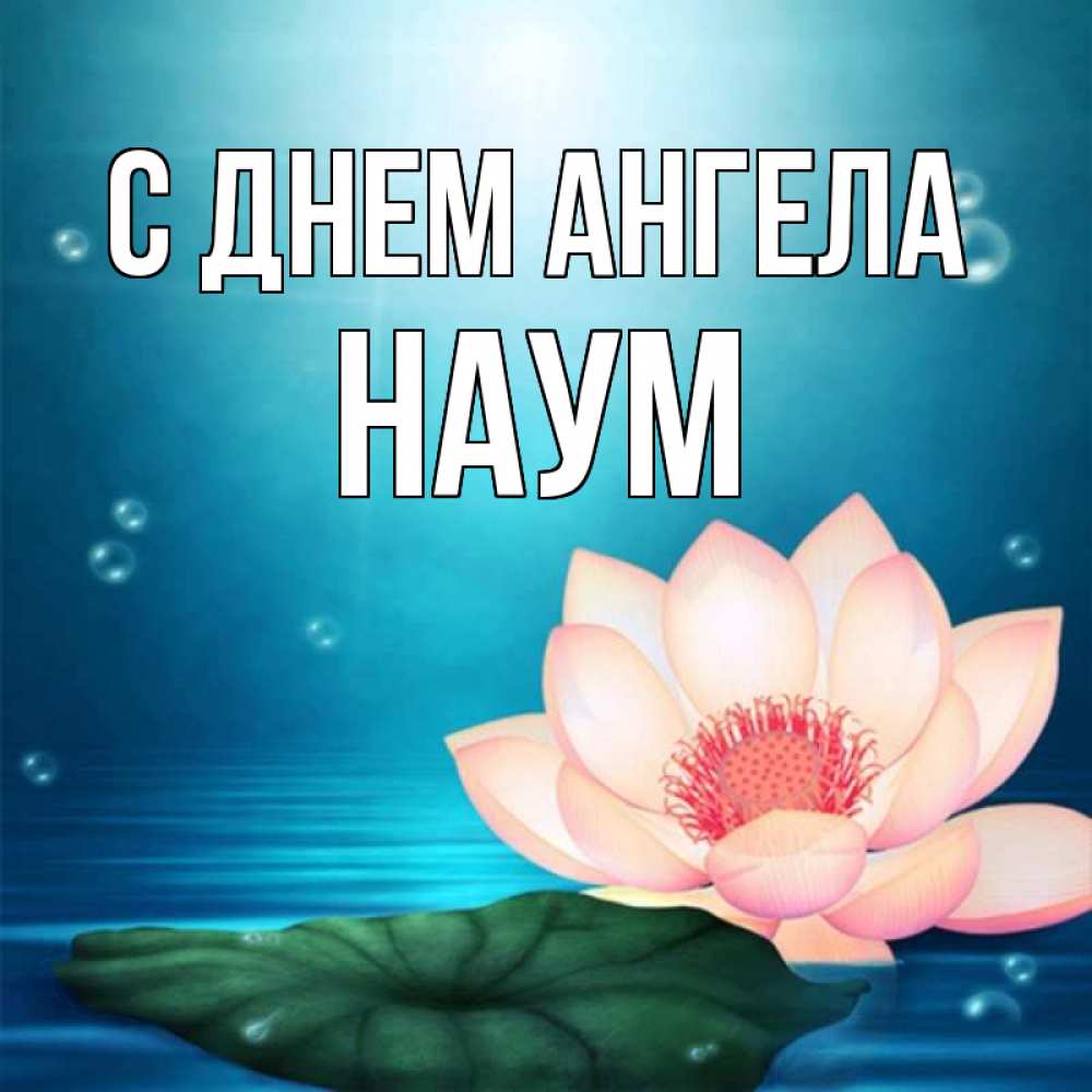 Открытка на каждый день с именем, Наум С днем ангела кувшинка Прикольная открытка с пожеланием онлайн скачать бесплатно 