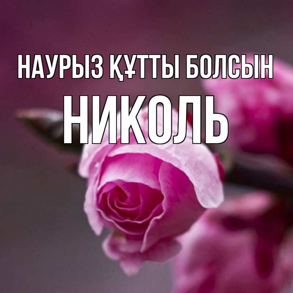 Открытка на каждый день с именем, Николь Наурыз құтты болсын весна Прикольная открытка с пожеланием онлайн скачать бесплатно 